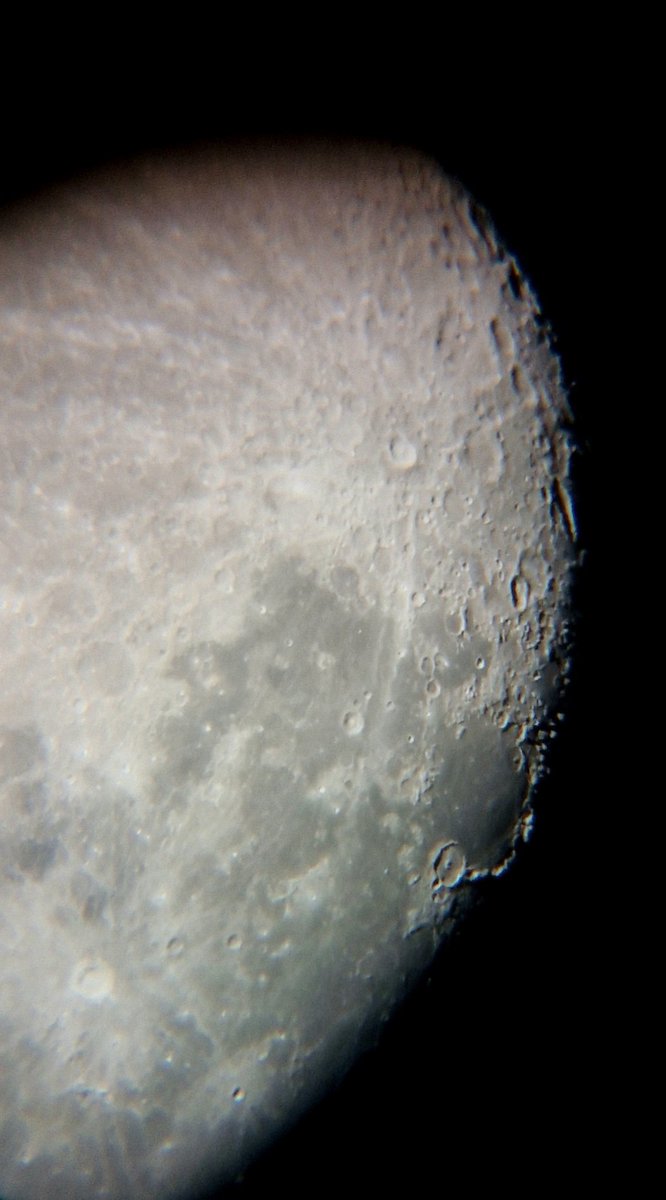 MongeDraws tweet media