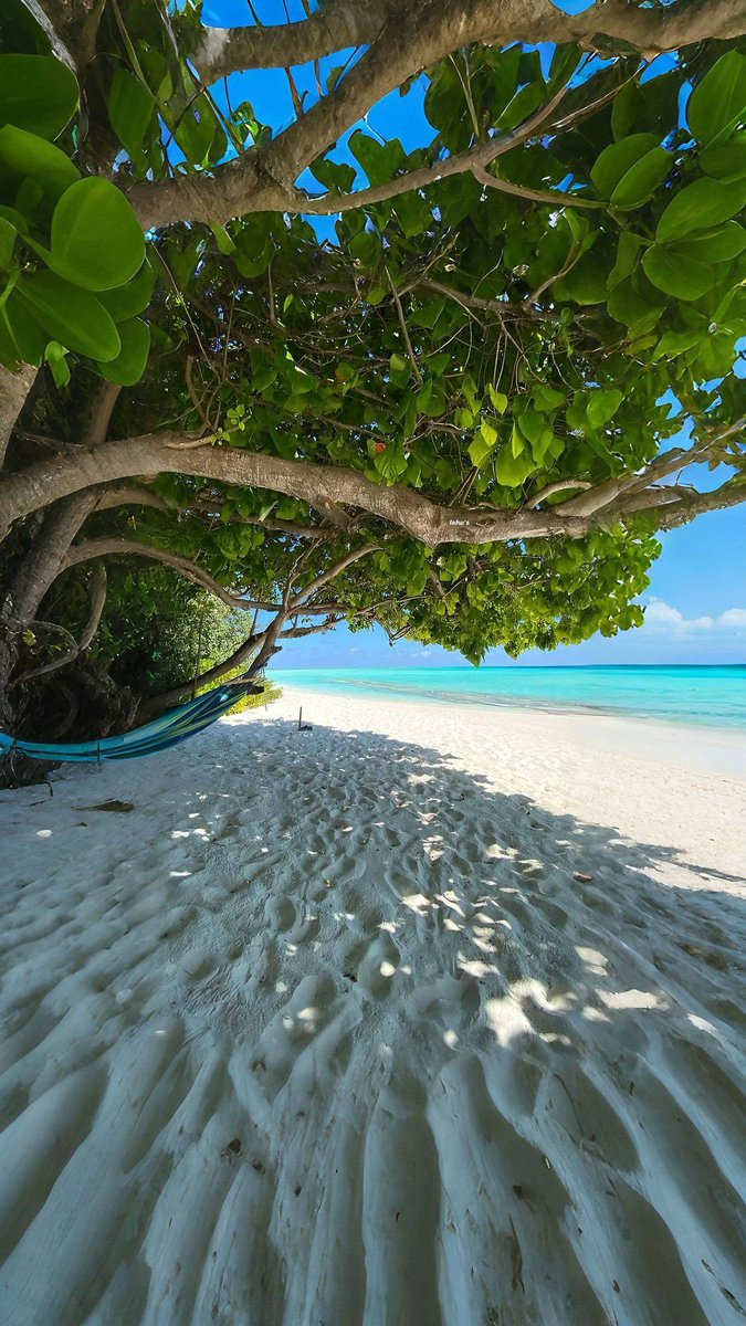 The Nature tweet media