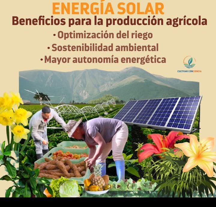 Cte Antonio Guiteras tweet media