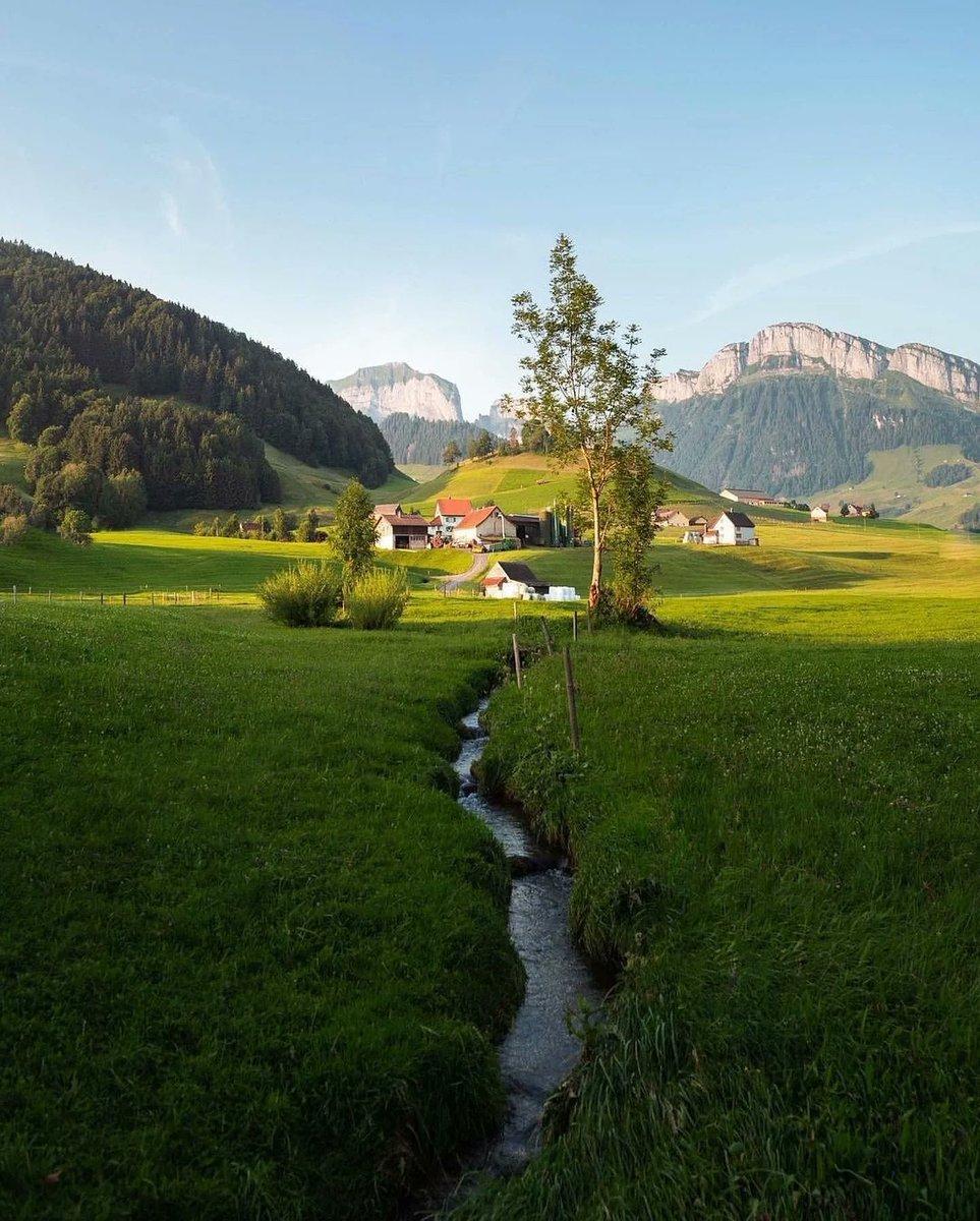 The Nature tweet media