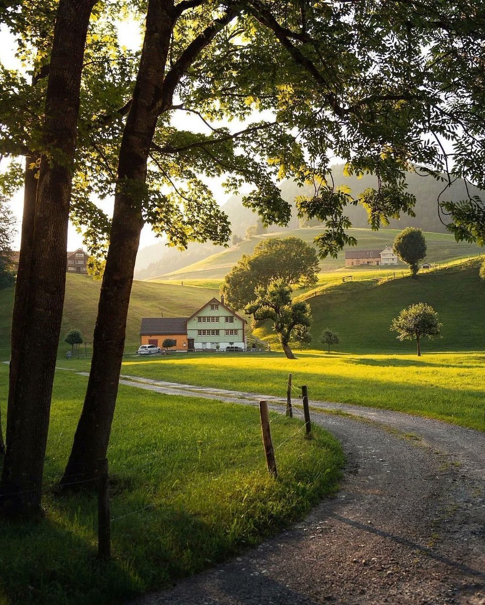 The Nature tweet media