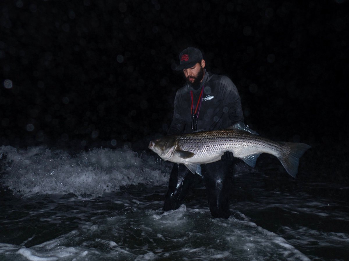 Tyler Austin Harper tweet media