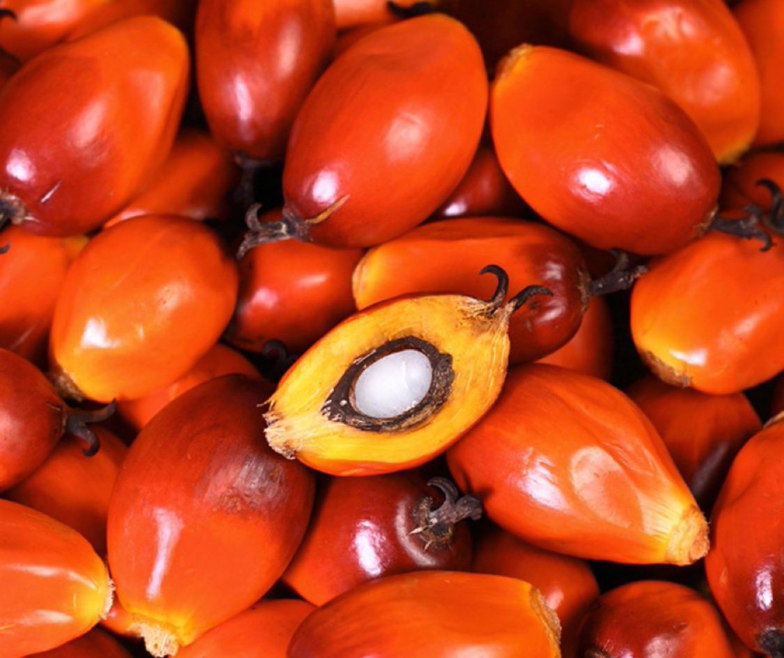 Ƙŵɓñ🇬🇭🦅 tweet media