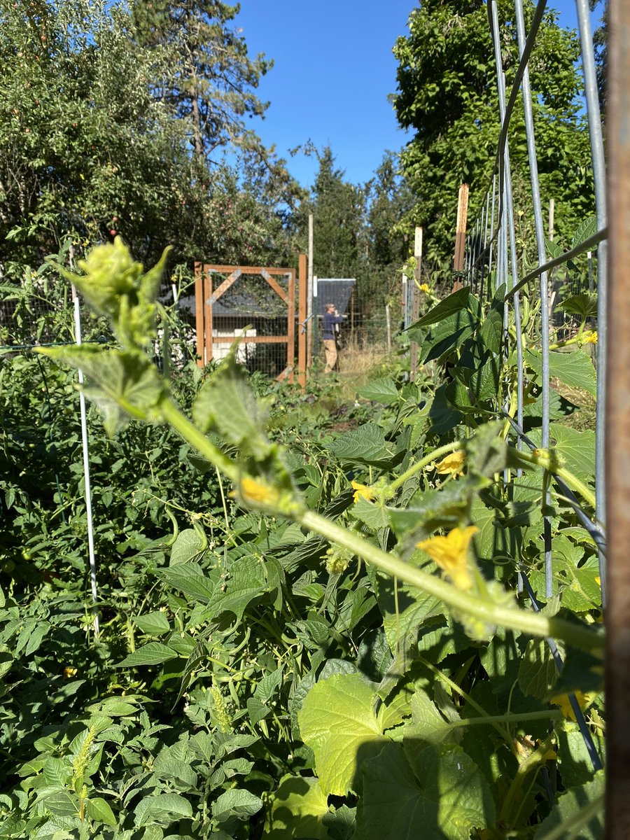 Mars 🌿 tweet media