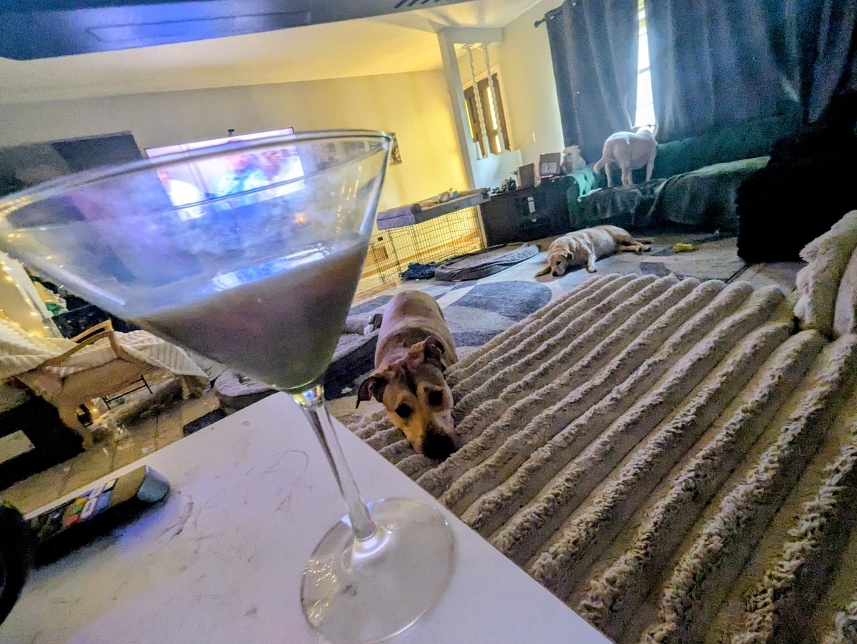 Lincoln💙🐶(Reagan🩷🐶 Kennedy 🩷🐶&🐱's) tweet media