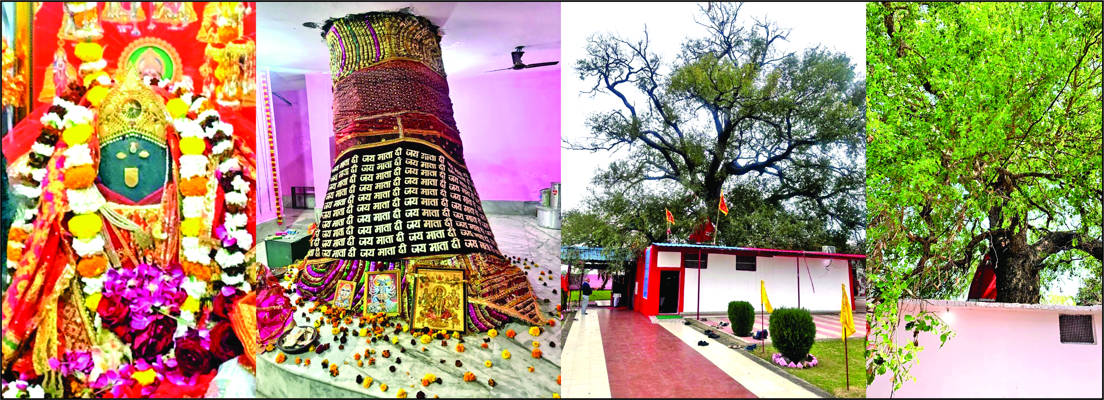 State Times tweet media