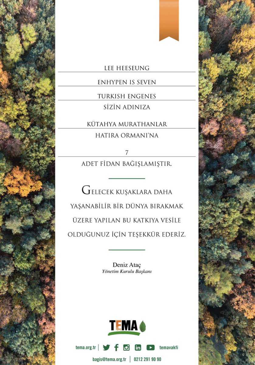 bambi | ENHYPEN IS SEVEN tweet media