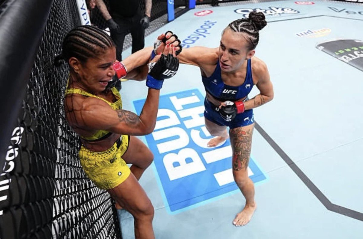 Casey Oneill tweet media