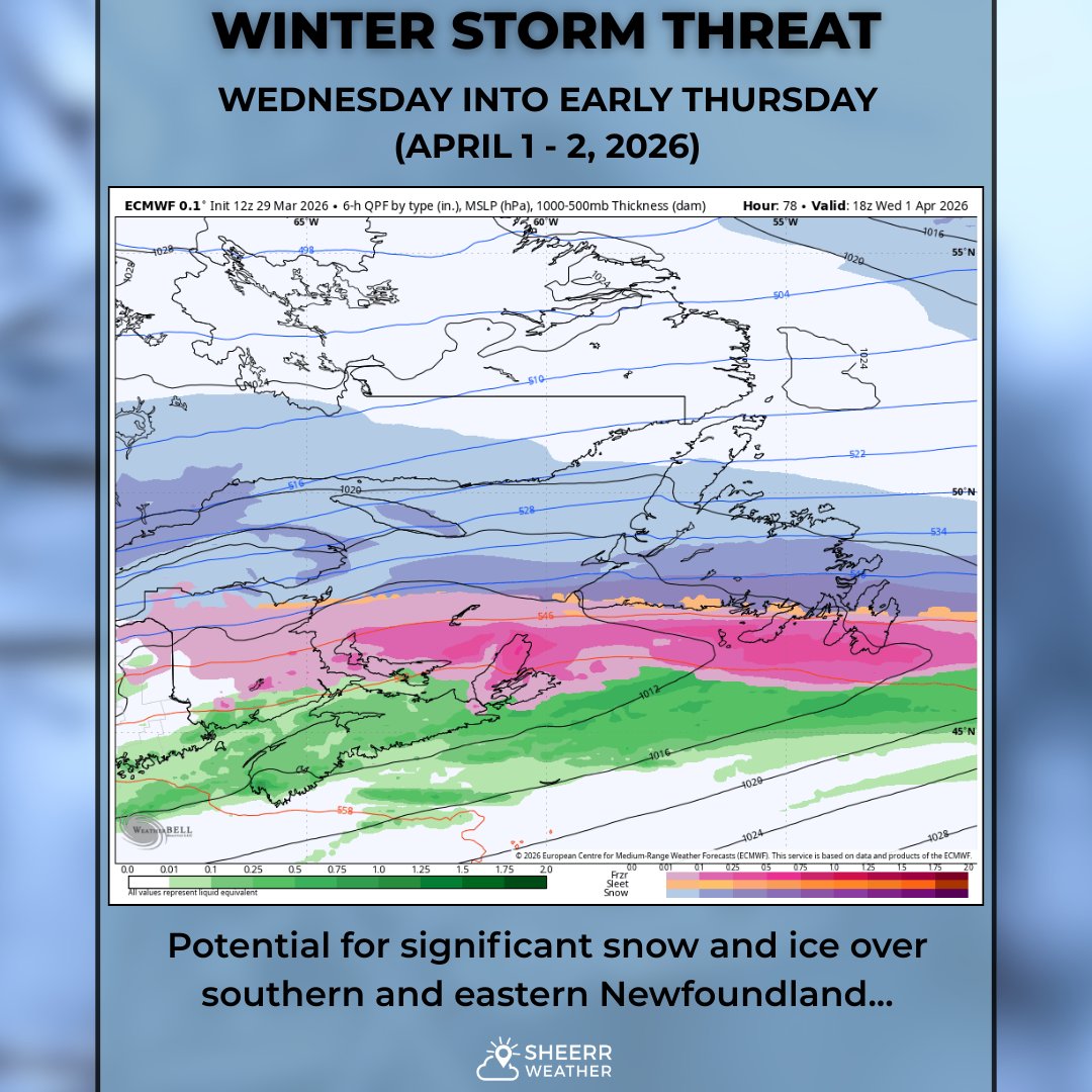 Eddie Sheerr tweet media