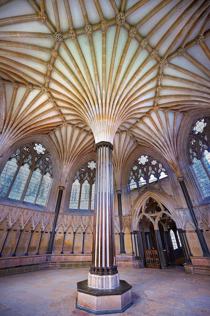 Miguel Calabria tweet media