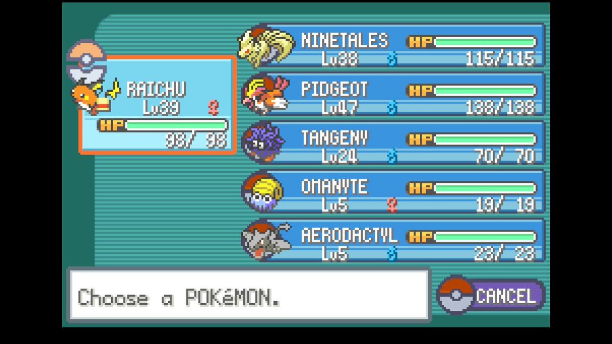 quel 🦕 tweet media