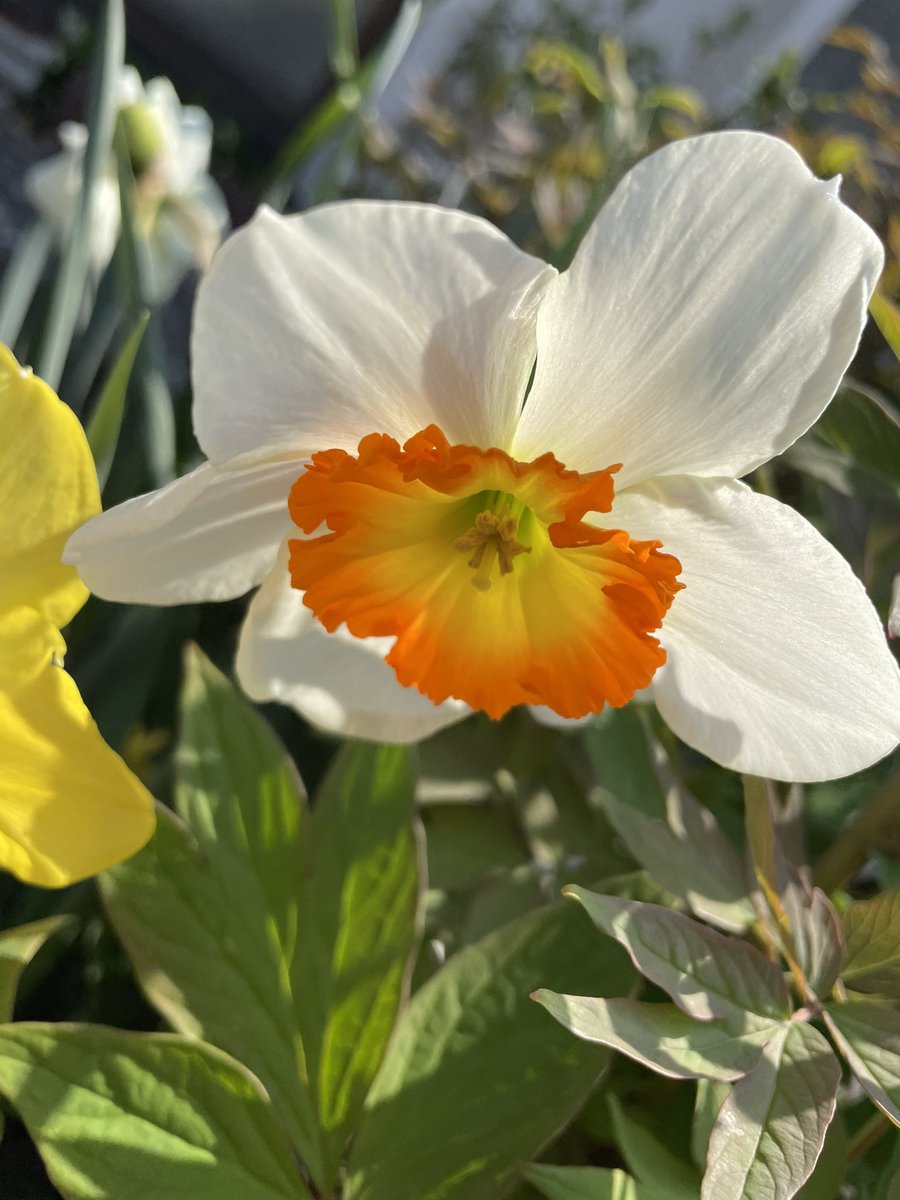 わにやのかあちゃん tweet media