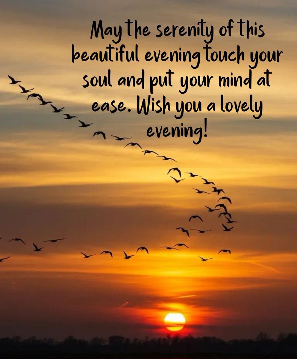 Wind_and_Rain tweet media