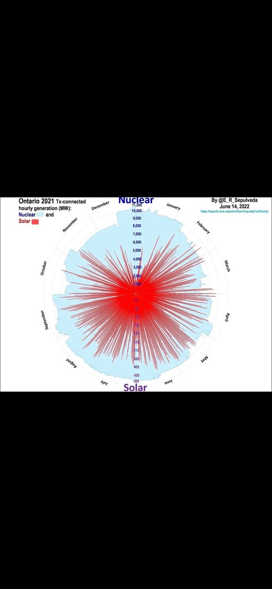 Rotfuchs-Protokoll tweet media