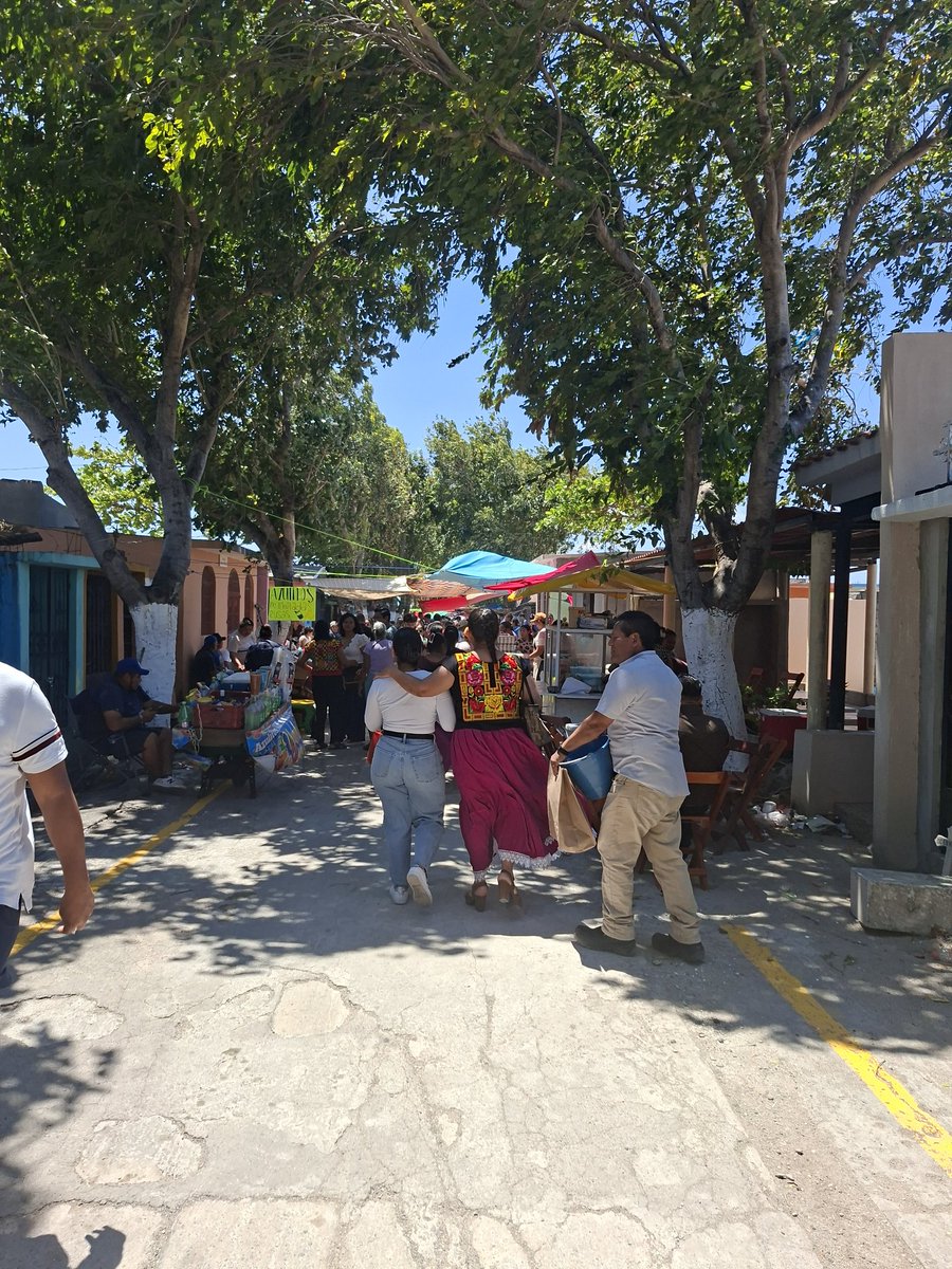 Jal Sabalote 🐟 tweet media