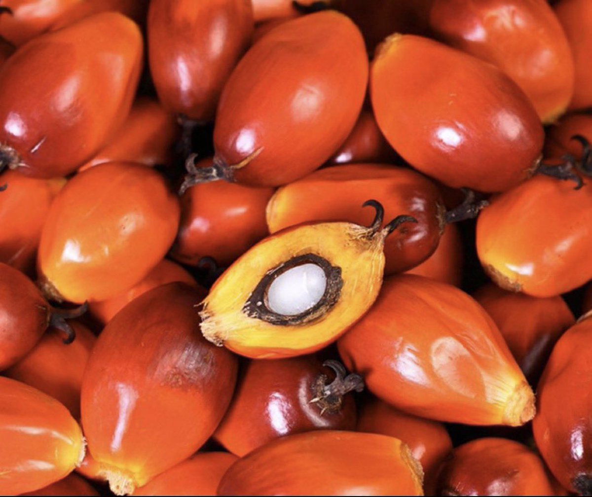 boytoo_foreign tweet media