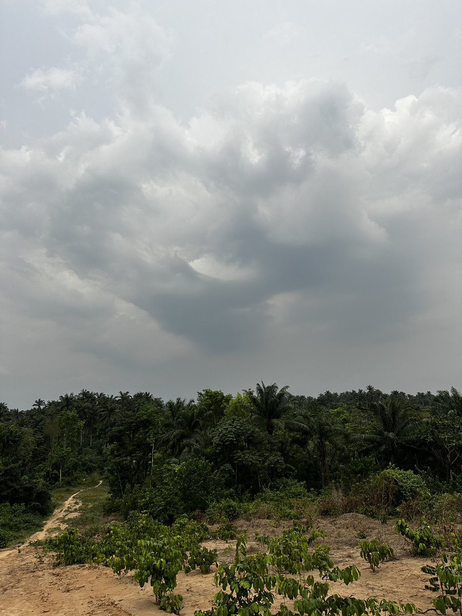 Cyborgg.btc 💣 tweet media