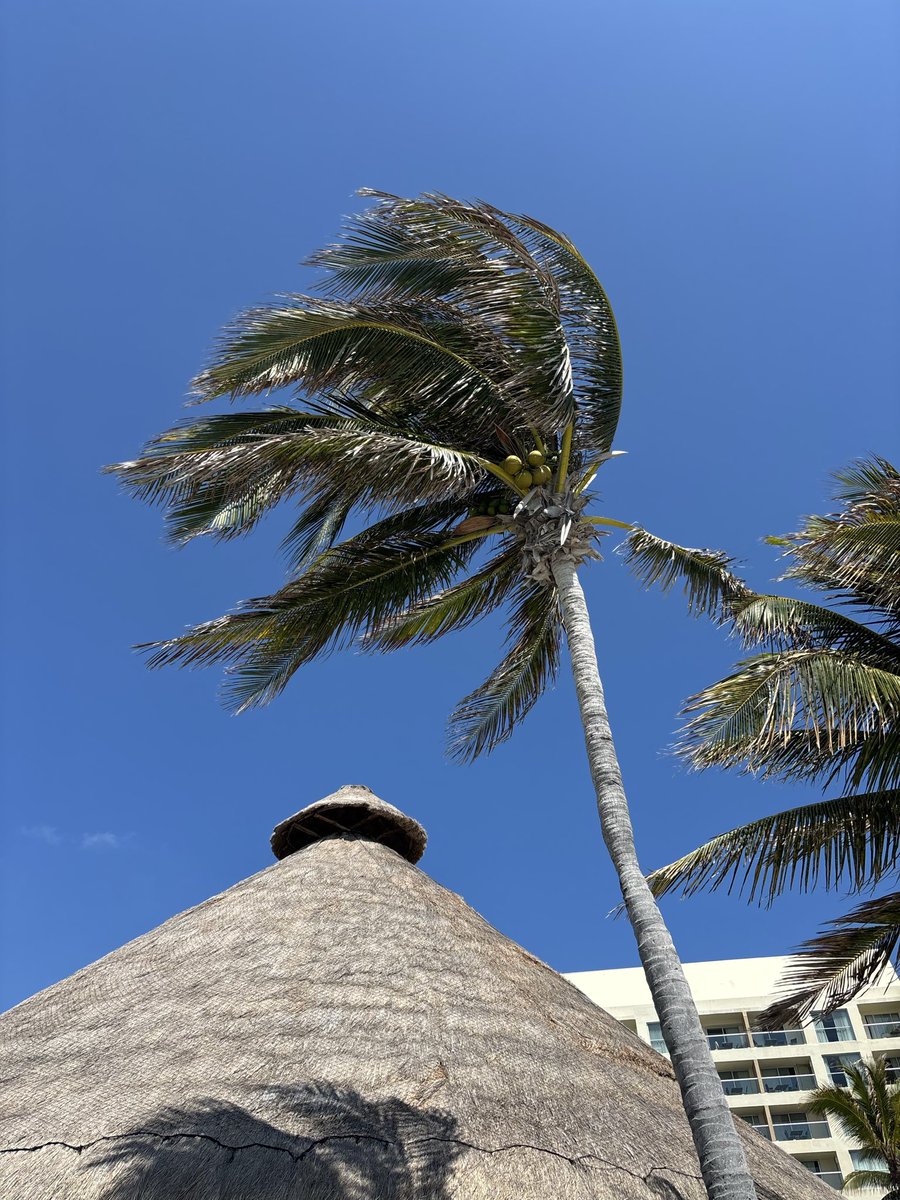 Vanderbilt Former Football Players tweet media