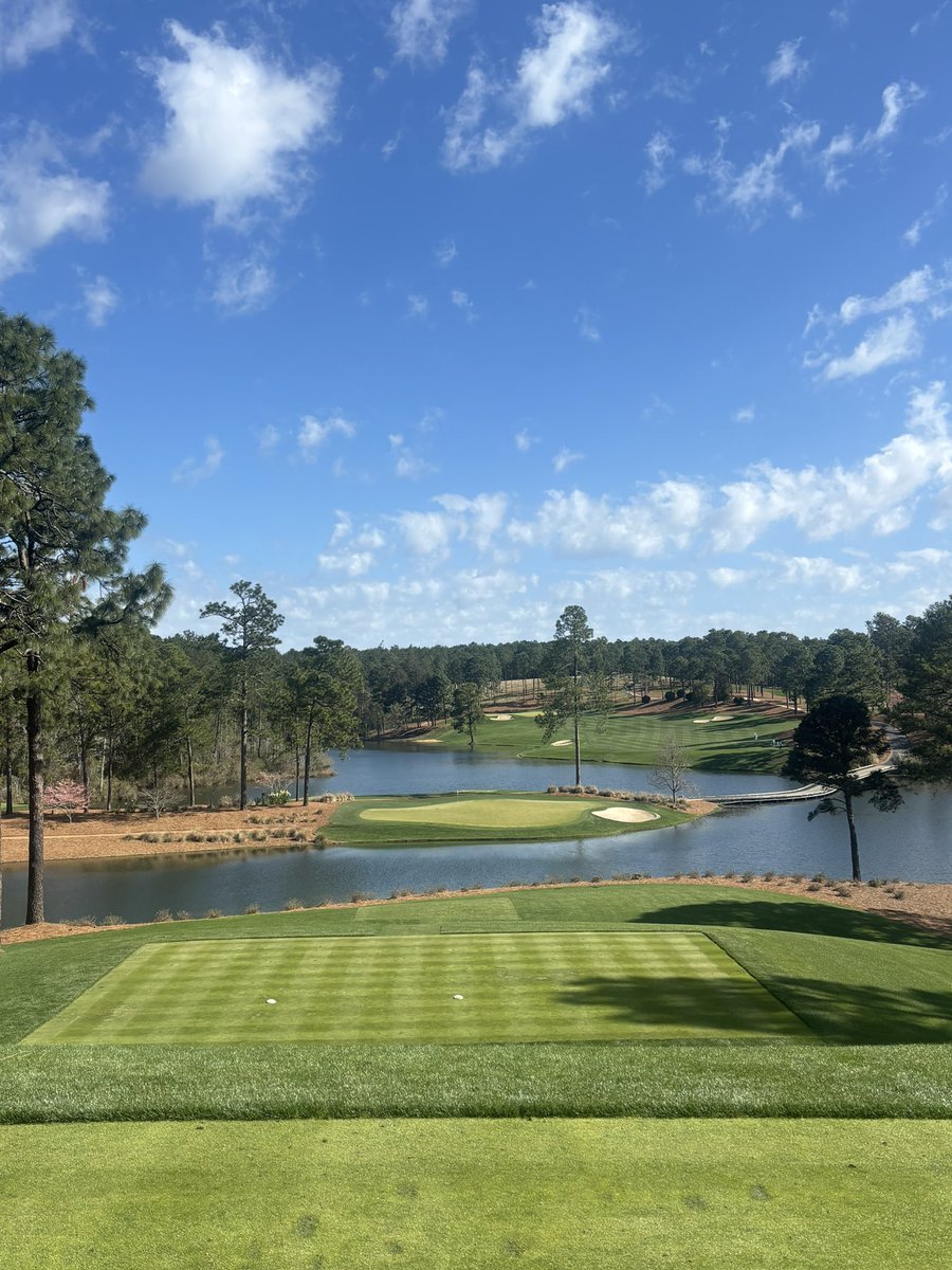 Rabbi Rev “Sleepy” Johnson tweet media