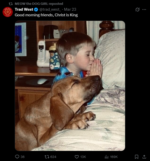 👁 cursed dog 🐾⛤⁷ tweet media