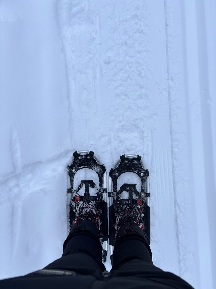 hales 🌸🐝 tweet media