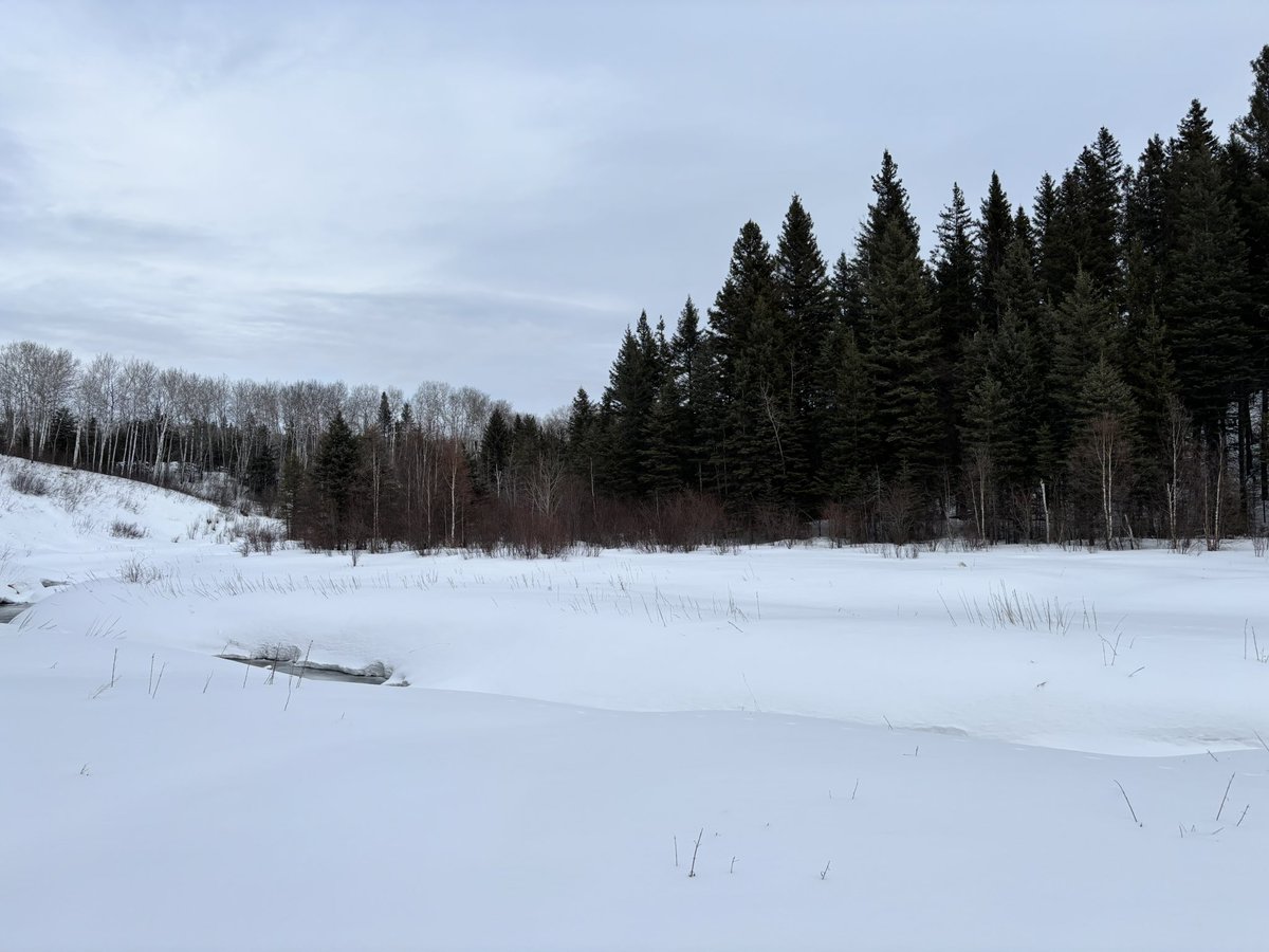 hales 🌸🐝 tweet media