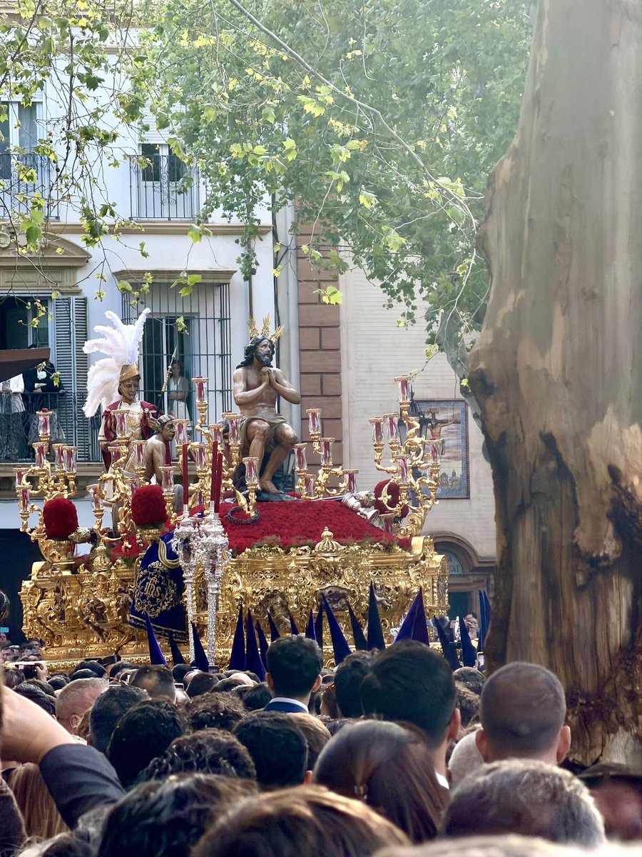 RoouMaya's tweet photo. Domingo de Ramos en Sevilla.
#SSantaSevilla2026 https://t.co/zbSiAUALfd