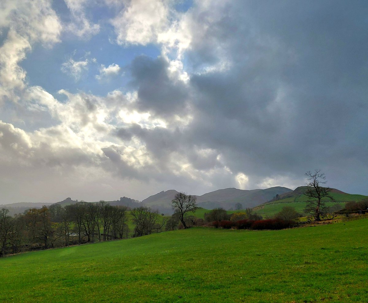 Stuart Paterson tweet media