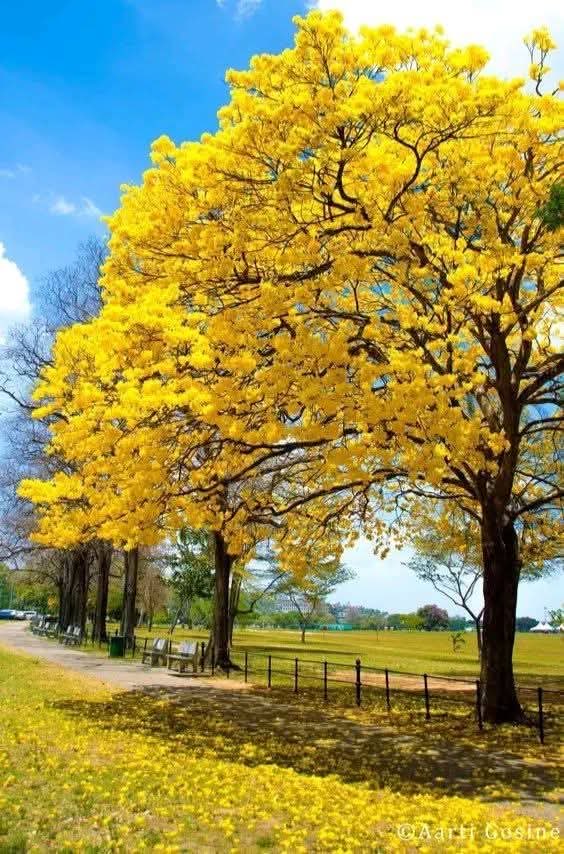 Miguel H Otero tweet media