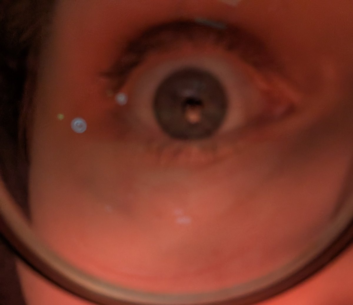 callie , 🏳️‍⚧️ tweet media