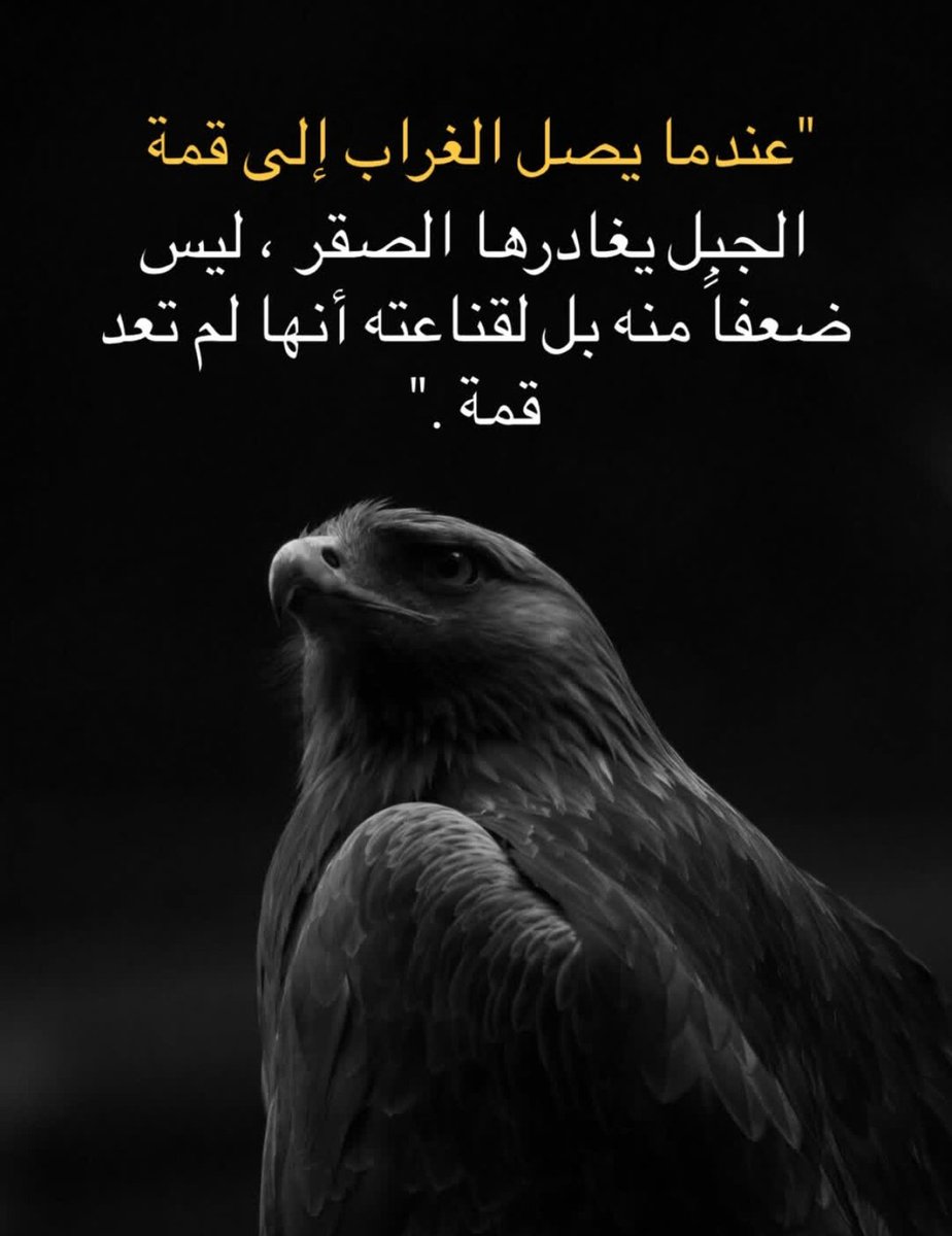 ضرغام آل هاشم tweet media