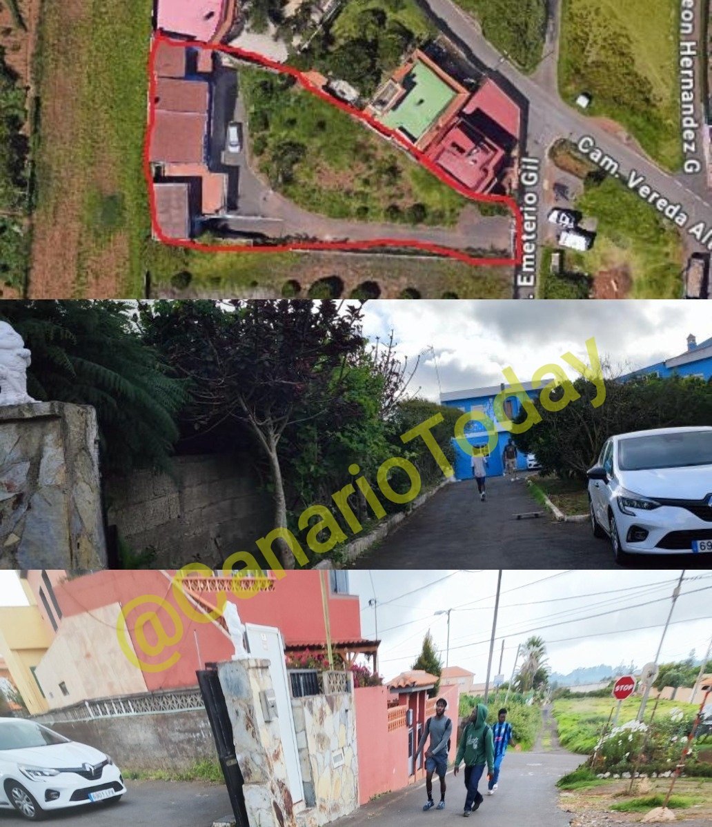 Canario Today tweet media