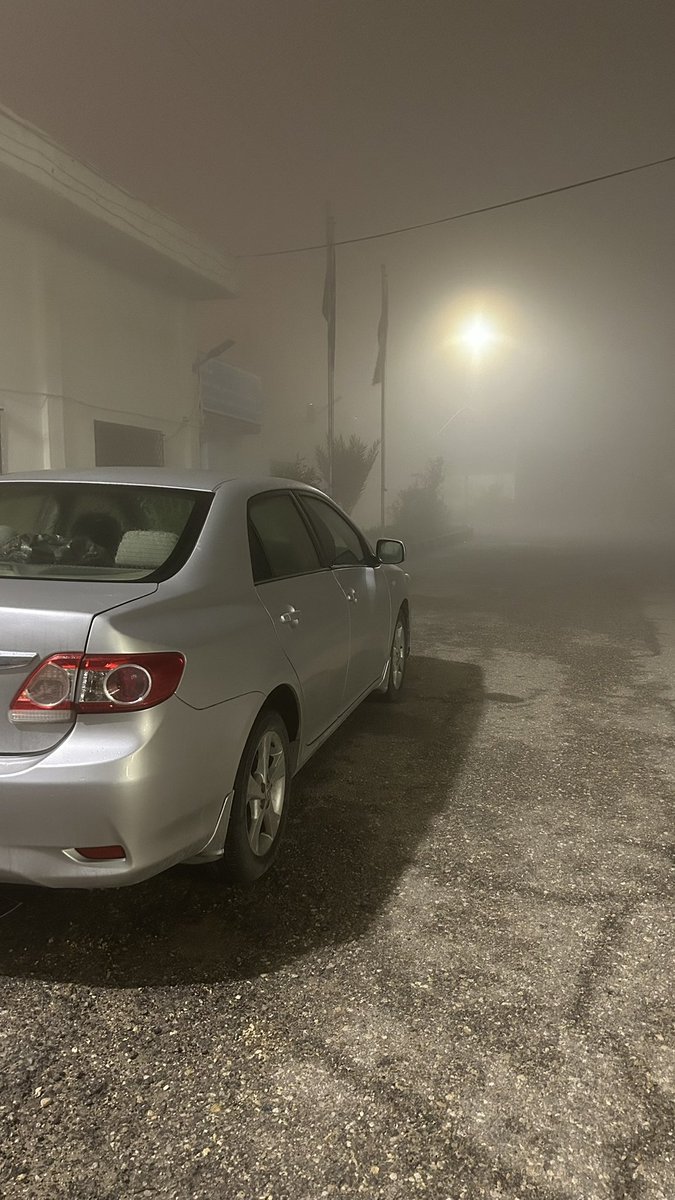 الربيحات 𓃗 tweet media