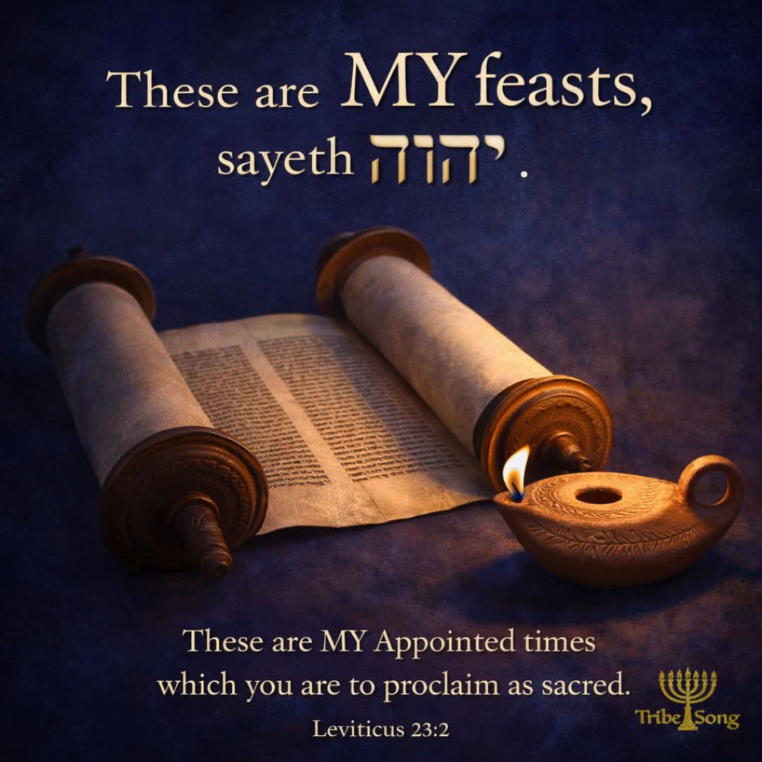 MrMrsTrumpet's tweet photo. Elohim/God says the Feasts/Moedim/Appointed Times are HIS‼️
Not Jewish Feasts as pastors & people believe & teach
They're ALL about Messiah❣️👑🦁❣️
Why would any believer that loves Yahusha/Jesus NOT want to honour our King & Abba YAH by observing them⁉️
#MessiahIsTheFeasts https://t.co/2Blhzhsv4e