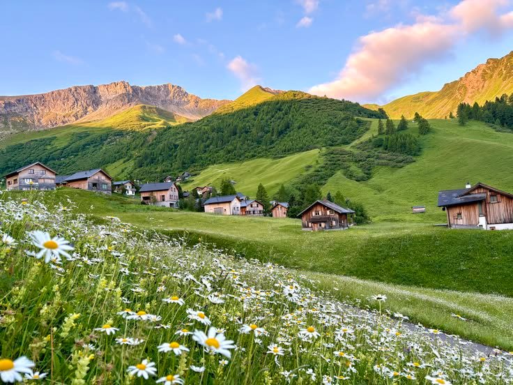 The Nature tweet media