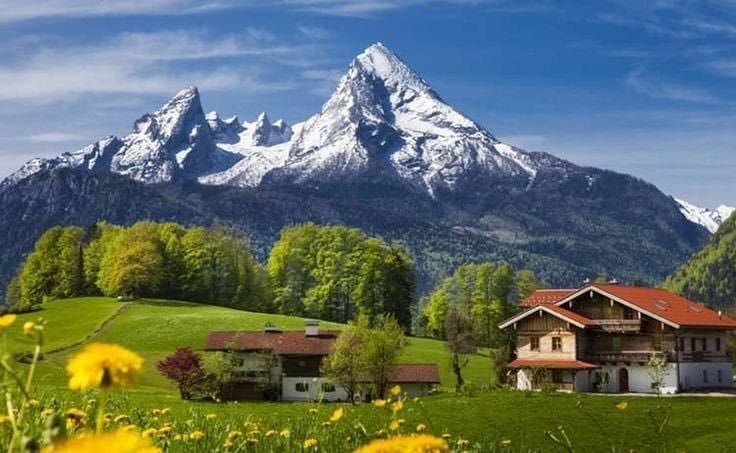 The Nature tweet media