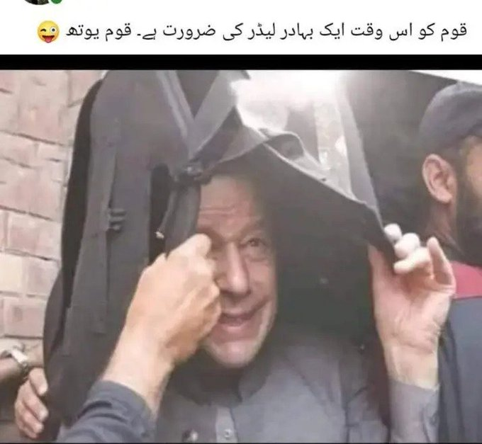 مفتی مفتا Green Party of Pakistan tweet media