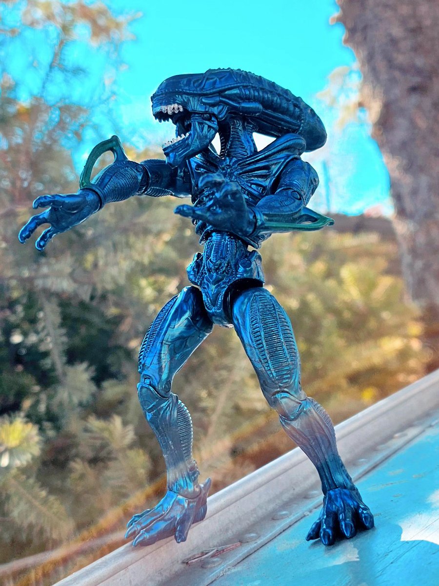 hilary_hildo13's tweet photo. Thrift Store Score
#alien #predator #thriftstorescore https://t.co/nhCFcfVYlS