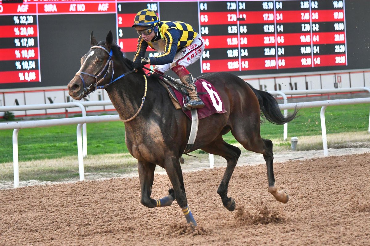 Ferit bayır tweet media