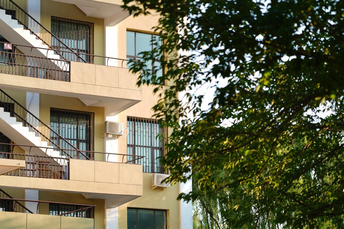 Lorraine M. McDuell tweet media