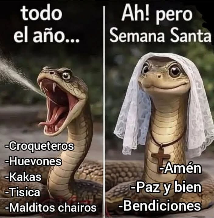 Hoy comienza la semana santa pero para los fachos pobres que votan por el PRIAN y que insultan al prójimo no les importa. Por eso la doctrina de la derecha es la hipocresía.

Comen Santos y cagan demonios... 🤭🤭🤭

Comparte o etiqueta a tu facho pobre hipócrita favorito 😂🤣😆