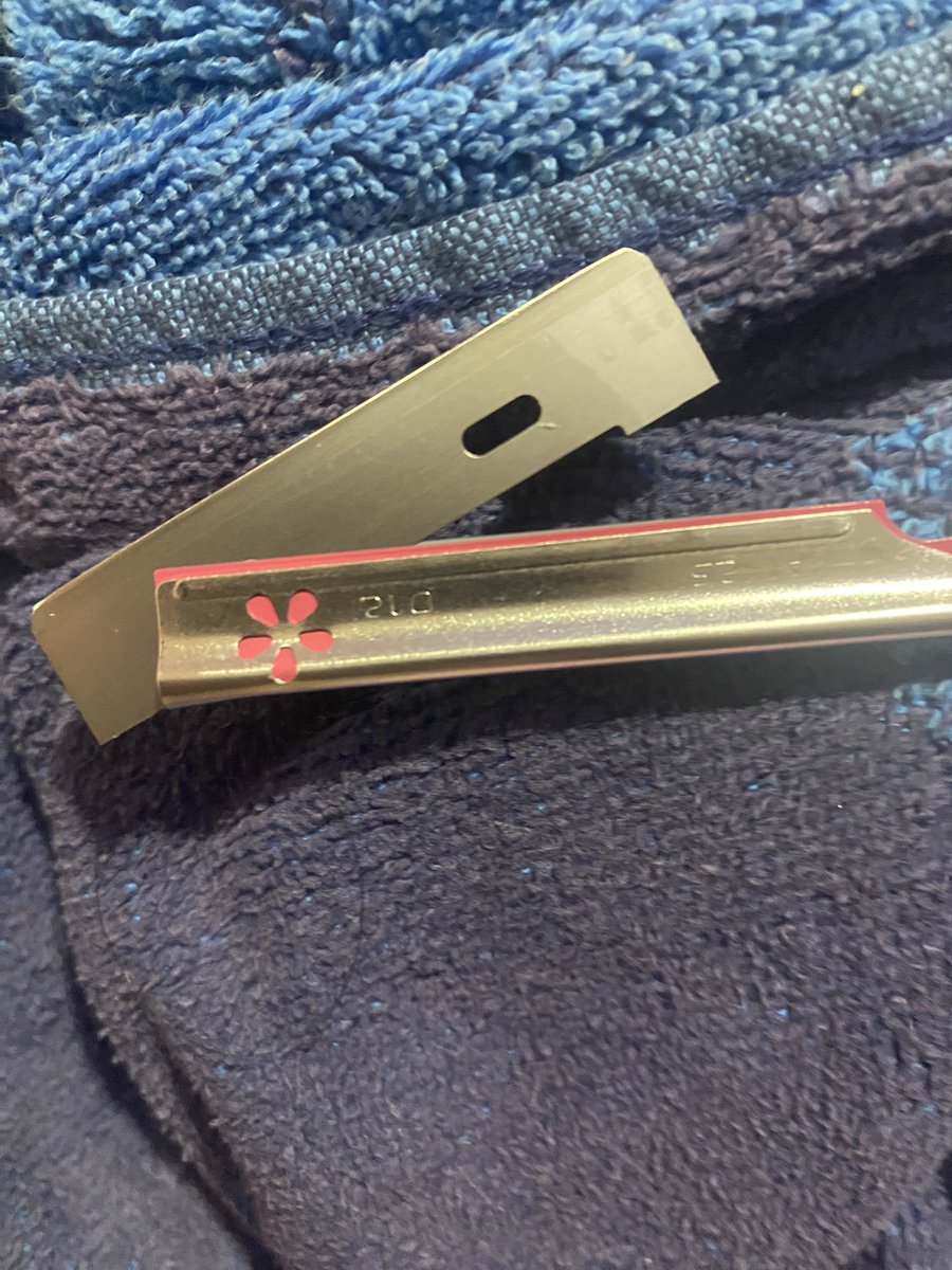 (FOLLOW LIMIT)☆彡彡|| Italy of shedtwt|| ミミ☆ tweet media