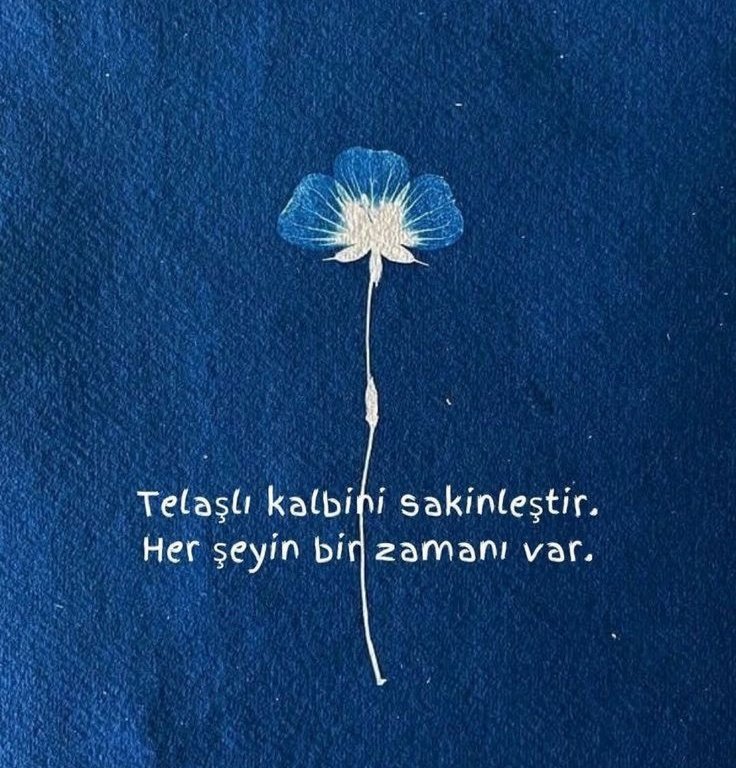 Her şeyin bir zamanı var.