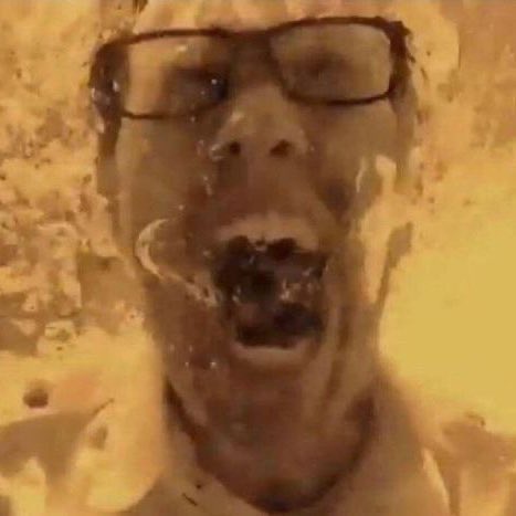 lia 🪿 tweet media