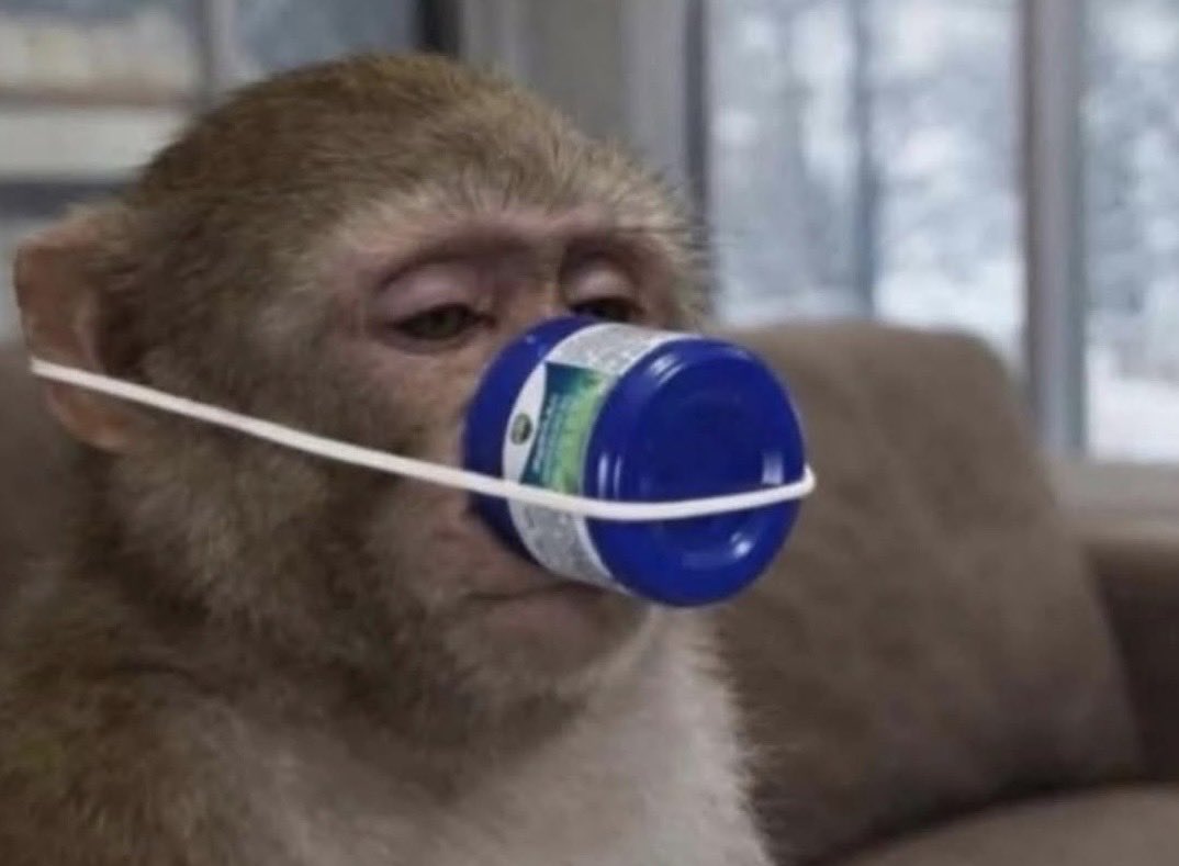 Todos: "¡Marzo va a ser genial!"
Yo: