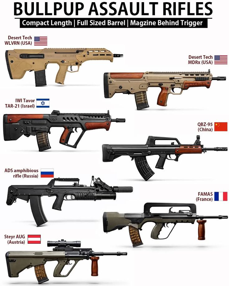 Gun Fanatics tweet media