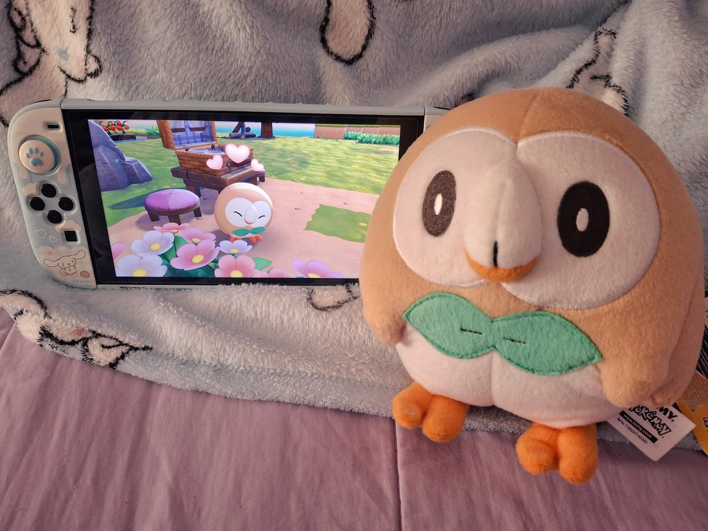 ✿⃟ ┄ Spring𓂃🌷◞ 🌸 tweet media