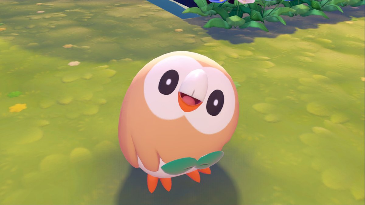 ✿⃟ ┄ Spring𓂃🌷◞ 🌸 tweet media