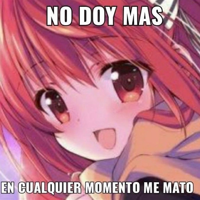 𓆩 luis 𓆪 tweet media