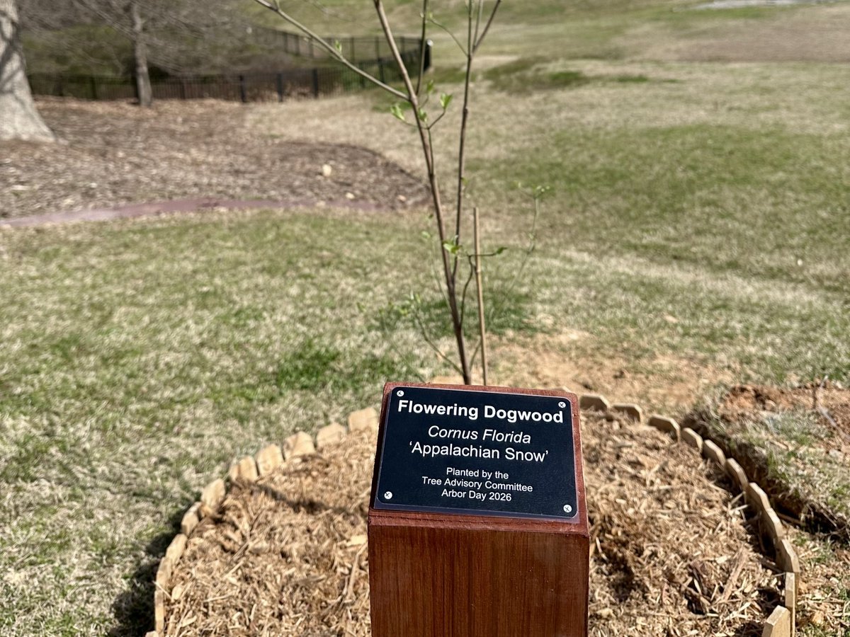 Town of Holly Springs, NC tweet media